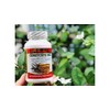 Generic Dietary Supplement (1 Pack, CORDYCEPS 950)