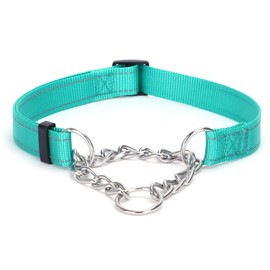 Serijoars Martingale Dog Collar, Trainer Approved Limited Slip Collar with Stainless Steel Chain, Modified Cinch Collar for Gentle & Effective Pet Training (Teal, L)