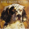 Just English Setters 2019 Calendar