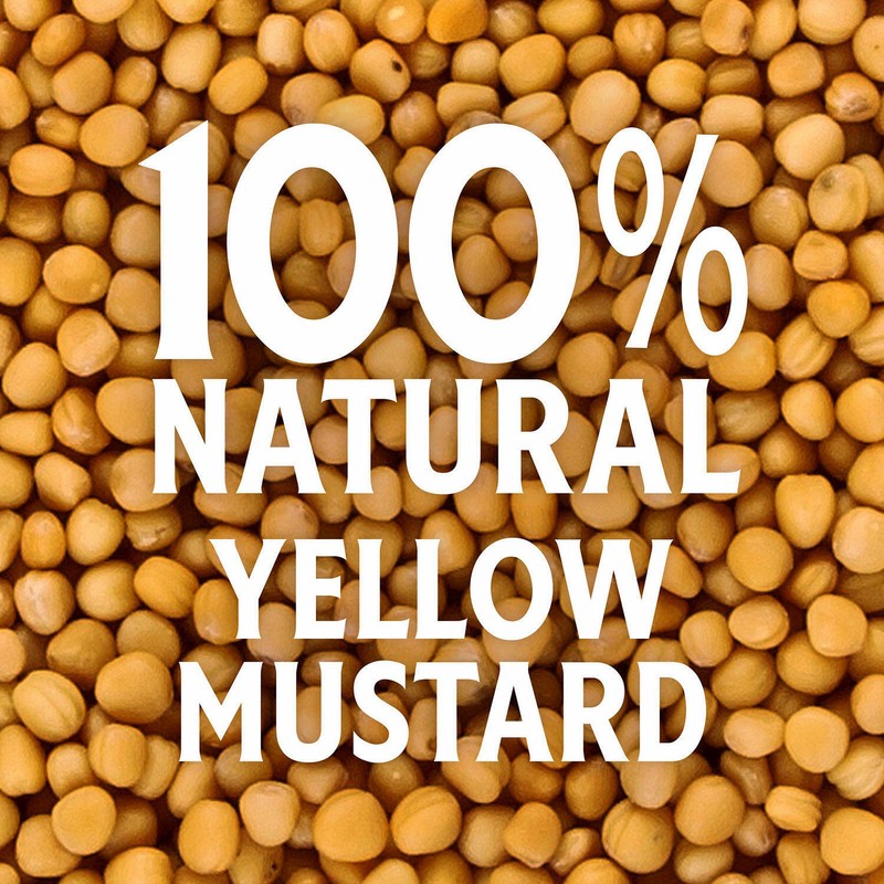 Heinz Condiments Picnic Pack (4 pk.)