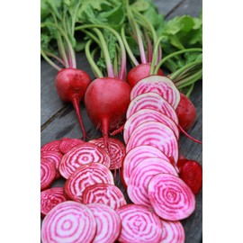 TomorrowSeeds - Candy Cane Striped Beet Seeds - 100+ Count Packet - for 2023 (Chioggia) Bullseye Pink White Beets Mangel Italian Root