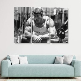 Blaze Canvas Arnold Schwarzenegger Bodybuilding Canvas Art Wall Art Home Decor (3 Piece Medium)