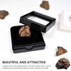 Meteorite from Space Real Space Rock Collection Science Ornament for