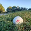 Ball Tatt - Scorpion Golf Ball Stamp, Golf Ball Stamper,