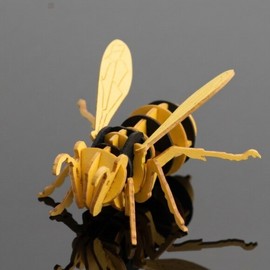 Hottracks Kiplex 3D Paper Art Assembly Model Kit_ Honeybee / Kiplex 3D 종이 아트 조립모델 키트_ 꿀벌