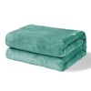 Exclusivo Mezcla Fleece Throw Blanket for Couch, Super Soft and Warm Blankets, Celadon Throw All Season Use, Cozy, Plush, Lightweight, 100x127 CM