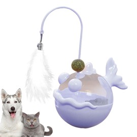 Cat Toys Interactive, Kitten Chasing Catnip Teaser, Sensory Exercise Treat Dispenser with Feather for Mental Stimulation Hunting Training Boredom