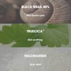 SOME BY MI [SOME BY MI]*renewal* Snail Truecica Miracle Repair