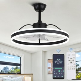 Oaks Aura 24 Inch Low Profile Ceiling Fans with Remote Control and APP,Modern Ceiling Fan with Lights,3 Light Color Change and 6 Speeds for Living Room,Dinning Room