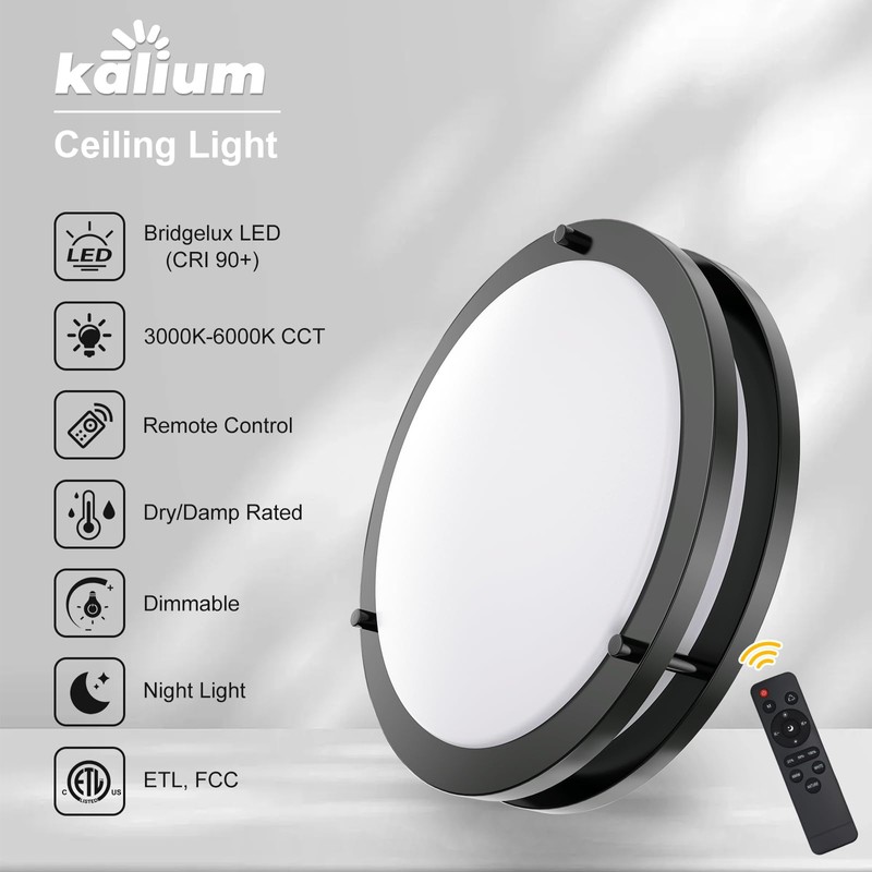 Kalium LED Ceiling Light with Remote 16 Inch Flush Mount