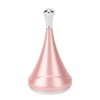 Cooling Beauty Facial Massager Pain Reduce Pore Tighten Portable Cold