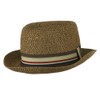 Kid's Pork Pie Stripe Band Fedora - Brown OSFM