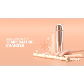 Aulos Robin Mod F-Alt Recorder