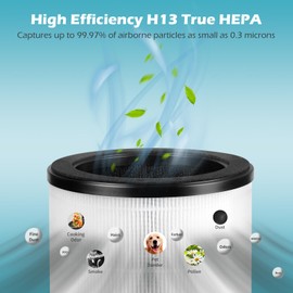 SAKEGDY 2 Pack HAPF360 Type J Replacement Filter, Compatible with Holmes True HEPA 360 Air Purifier HAP360W and Bionaire True HEPA 360° Air Purifier.