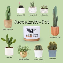 Teacher Appreciation Gifts Set for Women Men, Teacher Week Christmas End of Year Present from Student, Best Birthday Valentine Retirement Thank You Idea, Succulent Plant Pot Teacher / Mom Planter