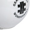 Gray-Nicolls Mens Wonderball Training Cricket Ball - White, Senior