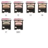 Sofina Orb Brush One Shot Shadow N (Eyeshadow)