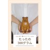 Kishima KH-61227 Animal Money Box Scandinavian Figurine Bear One Size