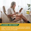 Organic Dandelion Tea, Dandelion Leaf & Root Tea, Herbal Tea,