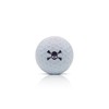 SWVL Sports Skull & Crossbones Pirate Large Golf Ball Stamper