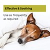 Nature's Greatest Secret Antibacterial Soothing Premium Quality Colloidal Silver Petcare