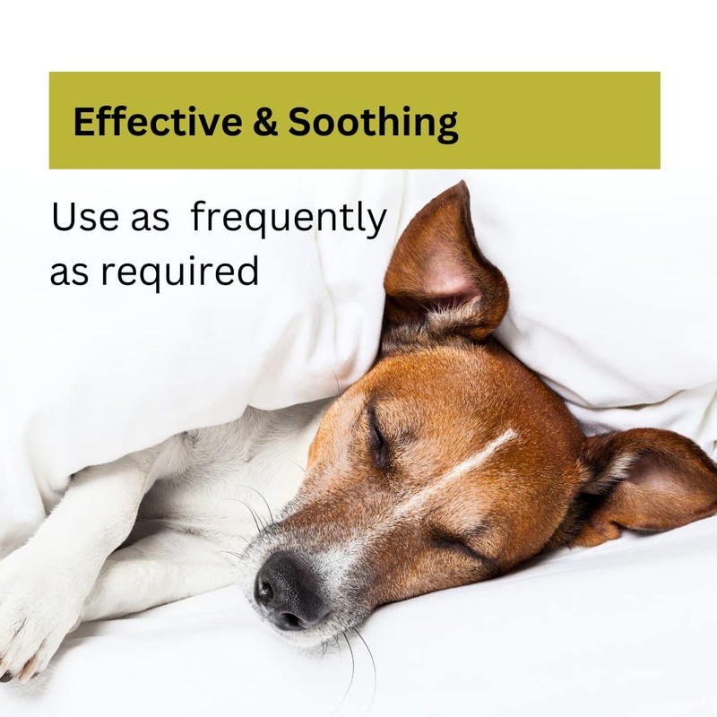 Nature's Greatest Secret Antibacterial Soothing Premium Quality Colloidal Silver Petcare