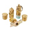 VIAIR 90005 Kit de Accesorios para Puerto de Tanque, Dorado