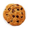 Chocolate Chip Cookie