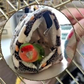 Small Parrot Hideaway Pouch, Medium Heart Nest Bed 5ea