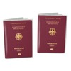 Soul-Cats Passport Cover Transparent 13 x 19 cm Pack of