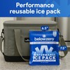 Below Zero Prefilled Reusable Ice Packs for Coolers | Long