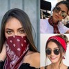 Boolavard 100% Cotton Bandanas with Original Paisley Pattern | Colour