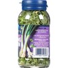 Litehouse Freeze Dried Spring Onion, 0.22 Ounce, 6-Pack