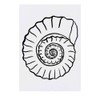 'Ammonite Fossil' Temporary Tattoo - Water Resistant, Skin-Safe, Non-Toxic Transfer