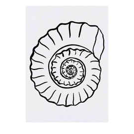 'Ammonite Fossil' Temporary Tattoo - Water Resistant, Skin-Safe, Non-Toxic Transfer (TO00031699)