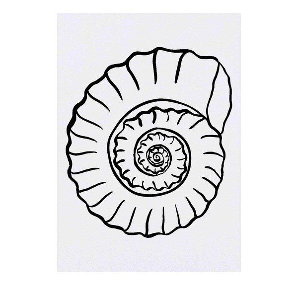 'Ammonite Fossil' Temporary Tattoo - Water Resistant, Skin-Safe, Non-Toxic Transfer