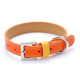 Dog Collar, Dog Collar, Dog Collar, Fashionable Cute Brand, Medium Dog, Small Dog, Ultra Small Dog, Dog, Leather, Leather, Leather, Shiba Inu, Chihuahua, Toy Poodle, Dog Collar, Glittering No. 3 (FBM)