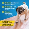Dr. Buzby's Toegrips para Perros – Tracción Instantánea En Suelos