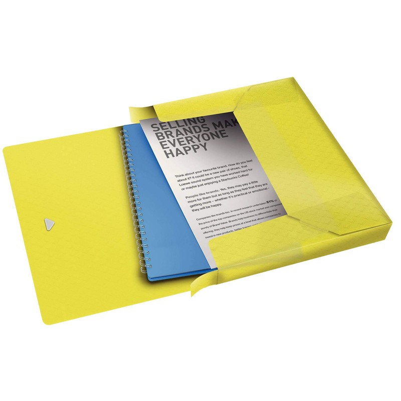 Esselte Colour'Ice 626262 Filing Box A4 Capacity 350 Sheets Spine