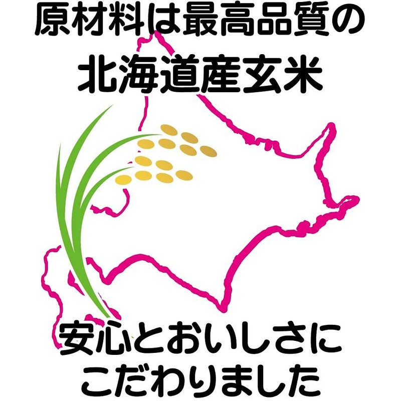 Healthy Whole Brown Rice Tea Bag, Made with Only Brown