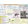 FTS, Instrument Pilot Visualized Flight Training Maneuvers (Poster)