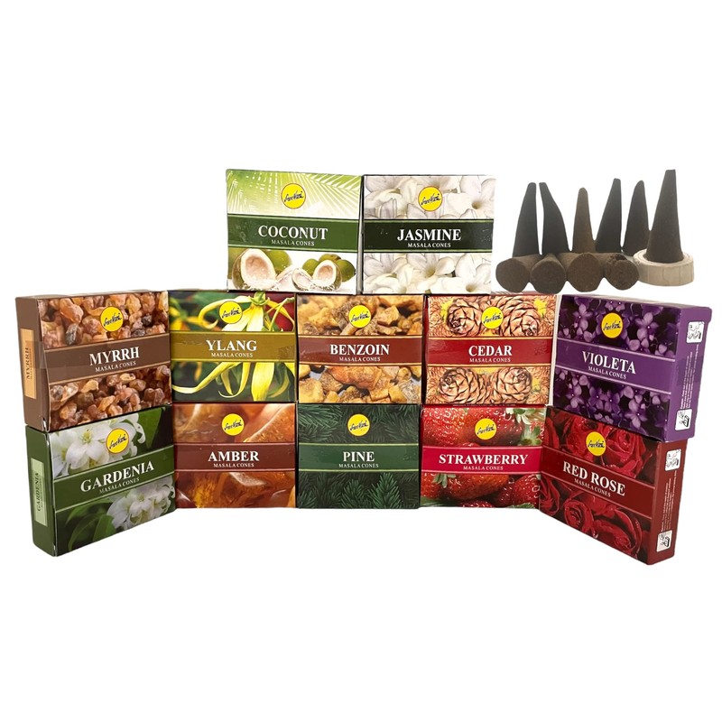 Sreevani Natural Masala Incense Cones and Holder Bundle, 120 Cones