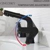 CINCOSKY Basin Sink Faucet with Pull Down Sprayer and Lift