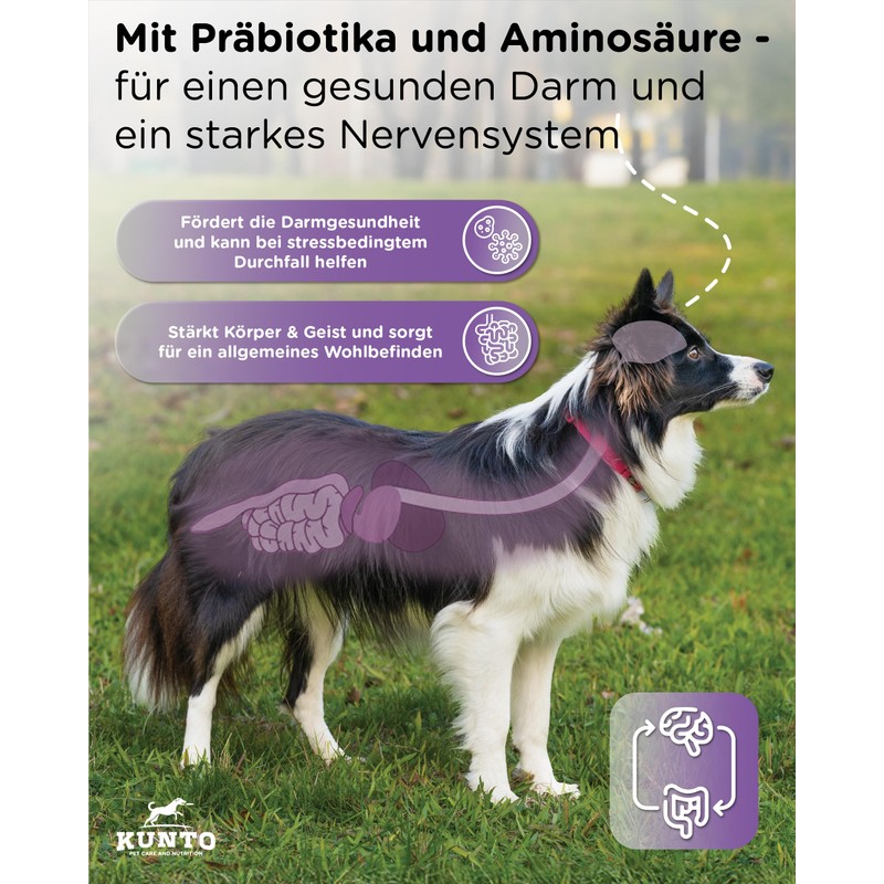 KUNTO Anti-Stress Drops Pack of 1