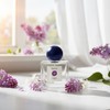 The lilac scent I was looking for [lilac] - 30ml