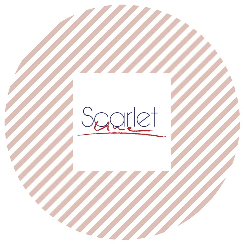 Scarlet Line Professional Medium Size Flat Hair Brush with Handle