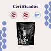 B-Fit Just Creatine sin Sabor | Creatina Monohidratada Pura en