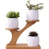 White Owl Ceramic Succulent Pots, 3Pcs Modern Decorative Flower Planters