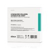 Siliska Heidi Care Gel Sheet 1 box (10 sheets) /