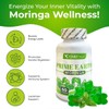 ChillTreat Prime Earth Series-Moringa Gummies-60 Gummies Serve 30 days-1000mg Moringa